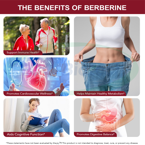 Berberine Glucose Support softgels supplier | Ausreson