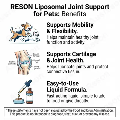 Liposomal Joint Support Drops for Pets Manufacturer