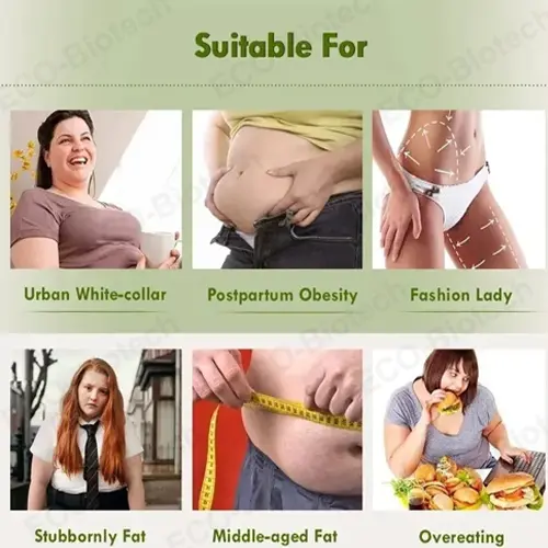 Green Tea Extract Gummies with EGCG | OEM Supplier