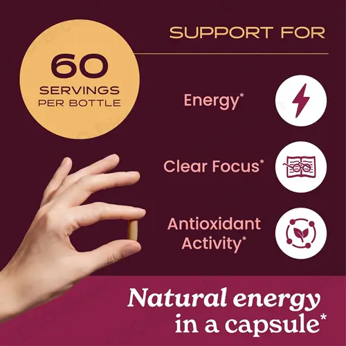 Guayusa Capsules: Nootropic Brain Supplements for Focus