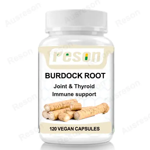 Burdock Root capsules Skin and Joint Support GMP Certification