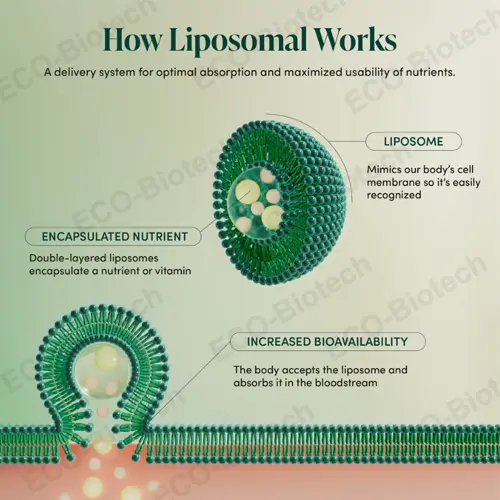 Liposomal Royal Jelly OEM manufacturer