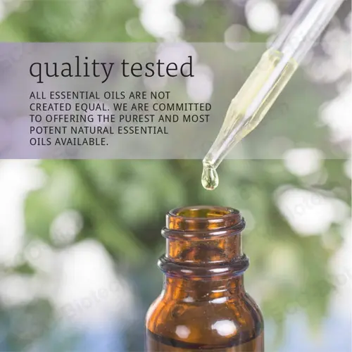 Rosemary liquid drops supplier Focus Memory Brain Support