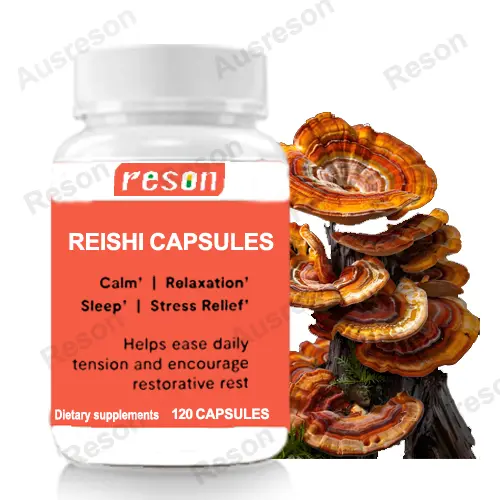 organic Reishi extract Capsules GMP Organic Certification