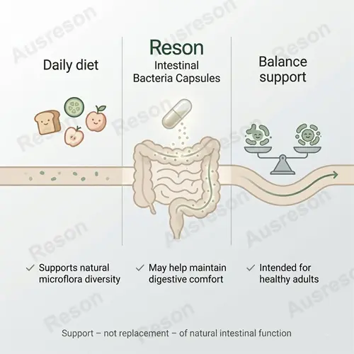Vegan Intestinal Bacteria Capsules | OEM Manufacturer