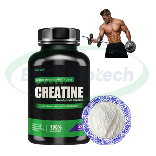 creatine monohydrate Powder 1kg Wholesale Price