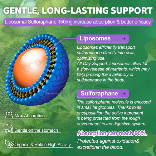 oem Liposomal Sulforaphane Supplement gummies Broccoli Sprouts Extract