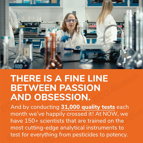 Chitosan capsules | Natural appetite control supplement | Reson