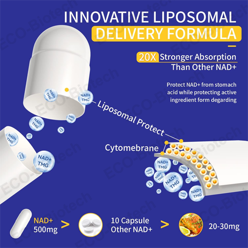 Manufacturing Liposomal NMN Capsules NAD+ with Trans-Resveratrol