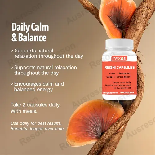 organic Reishi extract Capsules GMP Organic Certification