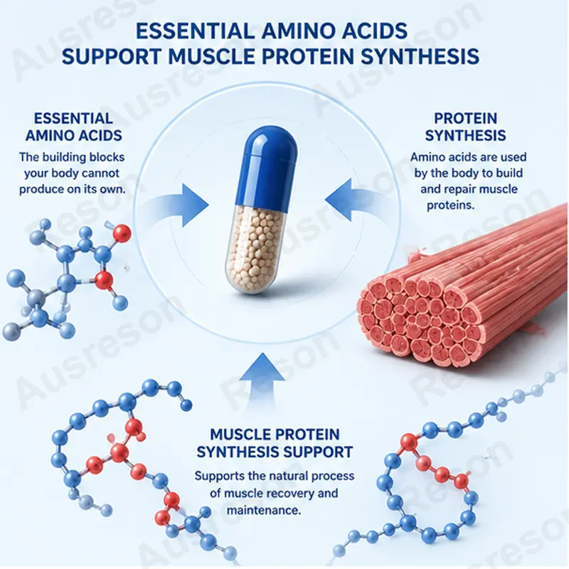 Free-form Amino Acid Capsules bioavailability OEM Manufacturer