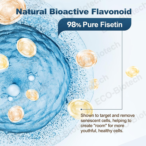 Liposomal Fisetin gummies for brain health oem Private label