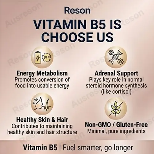 vitamin b5 Calcium Pantothenate capsules | OEM Manufacturer