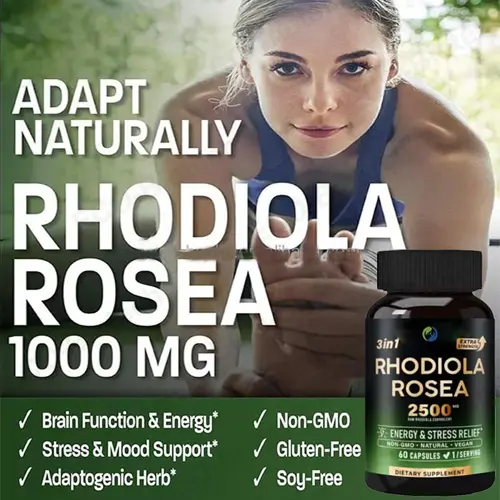 rhodiola rosea extract tablets 500mg Standardized Extract | OEM