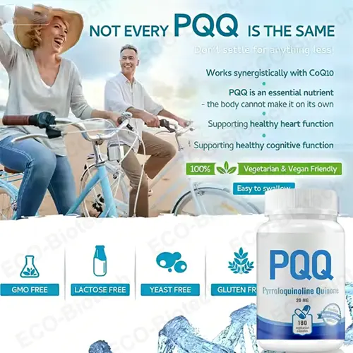 PQQ Capsules for Mitochondrial Biogenesis | Energy & Neuroprotection