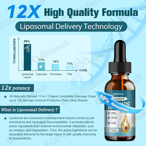 wholesale Liposomal Lymphatic Drainage Drops support detox