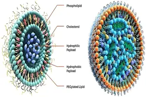 Liposomal Supplements vs Regular Oral Supplements