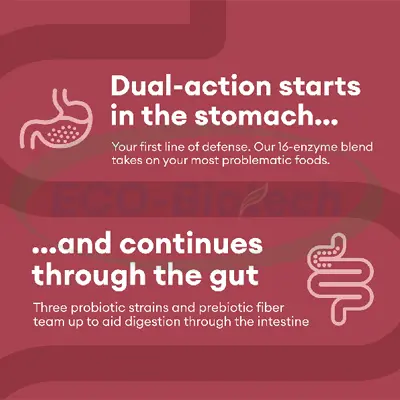 Digestive Enzyme Tablets OEM Manufacturer | Gut Health