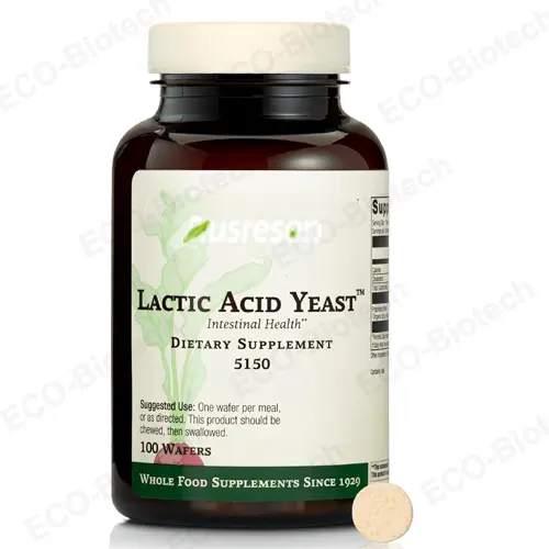 Lactic acid yeast for digestive health & bloating | Reson