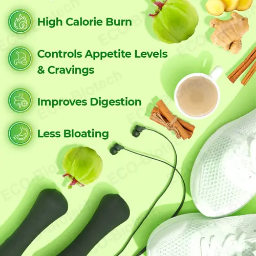 Garcinia Cambogia Effervescent Tablets 60% HCA for Metabolic Support
