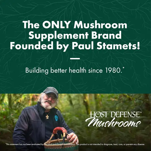 Maitake capsules Immune & Cellular Health Support Supplement