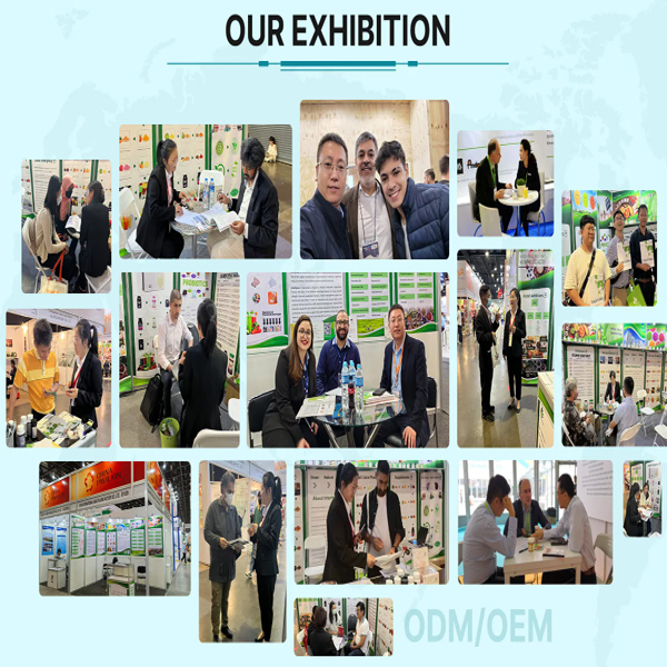 our exhibition