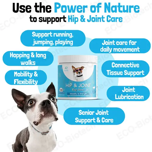 Cold-pressed Hip & Joint Support for dogs | Reson