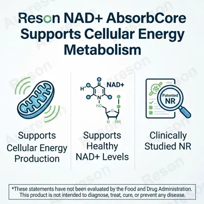 NAD+ AbsorbCore capsules Bioavailability bulk supply