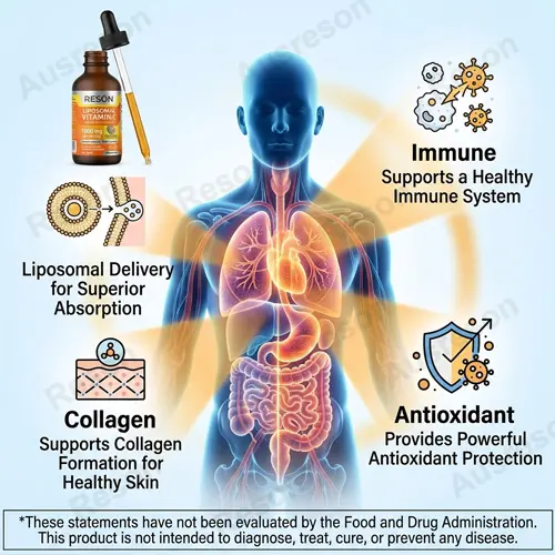 Liposomal vitamin c liquid 1000mg drops Wholesale price