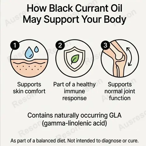 BLACK CURRANT OIL liquid drops Cold-Pressed | OEM supplier