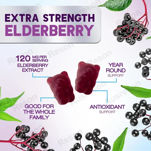 Elderberry gummies Immune System Support | Reson