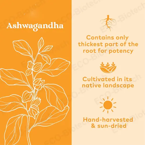 Ashwagandha capsules: Supports Stress Relief, Energy