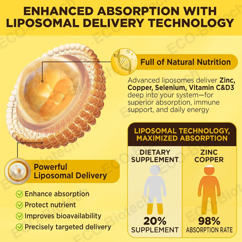 Liposomal Zinc Copper Liquid Drops | Immune Support | Reson