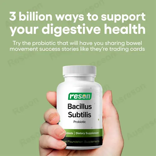 Bacillus Subtilis Probiotics capsules GMP certification