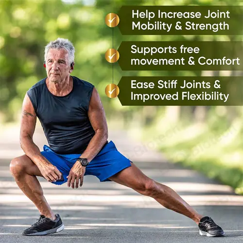 Glucosamine Chondroitin Tablets Joint Support | bulk supplier
