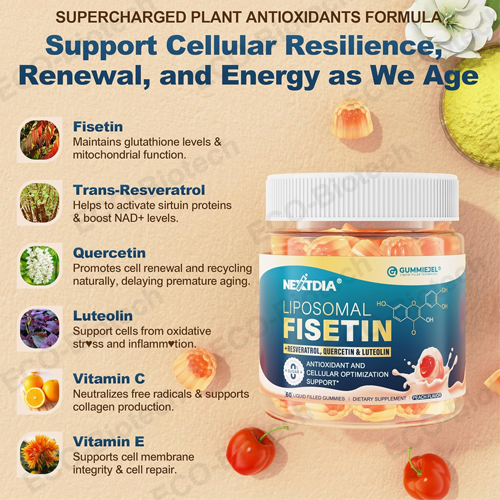 Liposomal Fisetin gummies for brain health oem Private label
