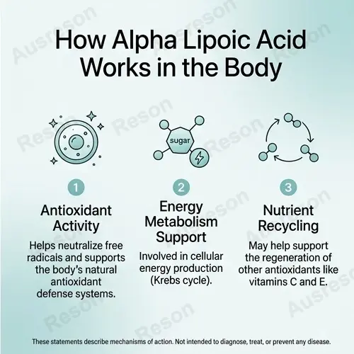 Alpha Lipoic Acid softgels High absorption ALA | OEM Manufacturer