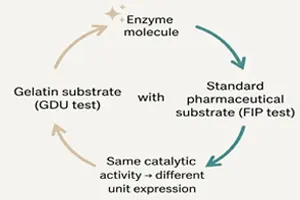 enzyme activity GDU vs FIP explained