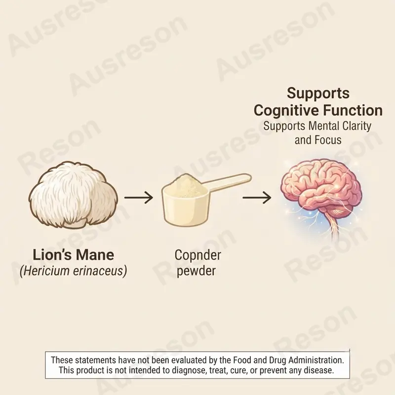 organic Lion's Mane Mushroom powder bulk Manufacturer