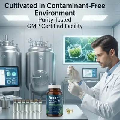 DHA Algal Oil soft gels private label Manufacturer