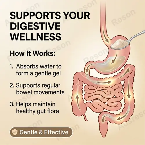 Best fiber powder for gut health | OEM Private Label