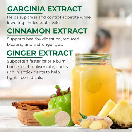 Garcinia Cambogia Effervescent Tablets 60% HCA for Metabolic Support
