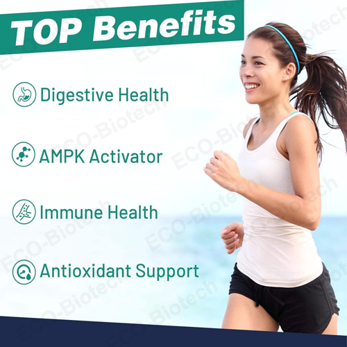 Manufacturer Liposomal Berberine Drops for blood sugar support