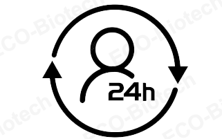 Our pre-sales and after-sales service