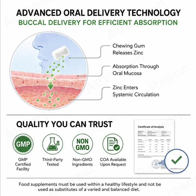 Sugar-free Zinc Chewing Gum Private Label Supplier