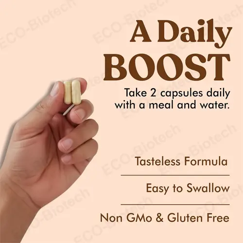 Tongkat Ali Extract capsules 200:1 for testosterone support