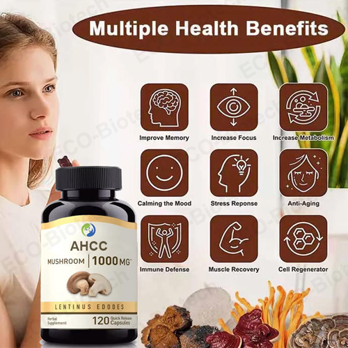 Ahcc Capsules 750 mg for immune support oem Manufacturer