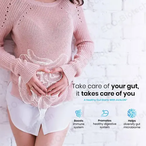 Pre & Probiotics Gummies manufacturer | Gut Health Support