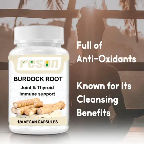 Burdock Root capsules Skin and Joint Support GMP Certification