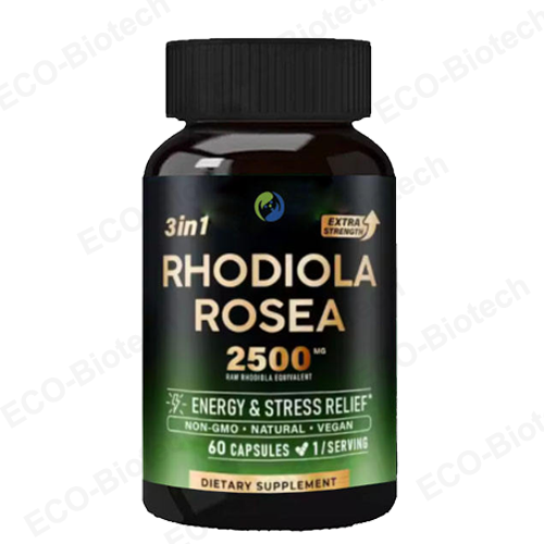 best 300mg rhodiola rosea extract tablets supplement